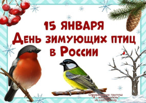 15 января — День зимующих птиц в России!🕊 15 января — День зимующих птиц в России!🕊.